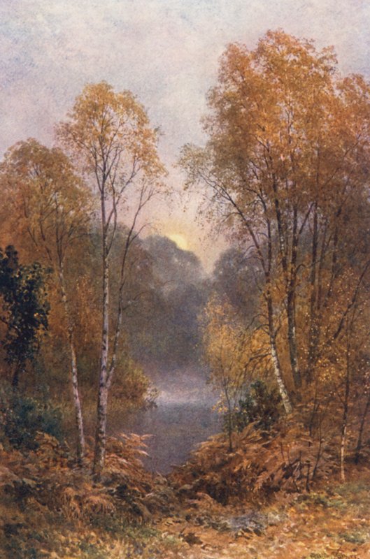 Jesienny księżyc (kolorowa litografia) autorstwa Harold Sutton Palmer
