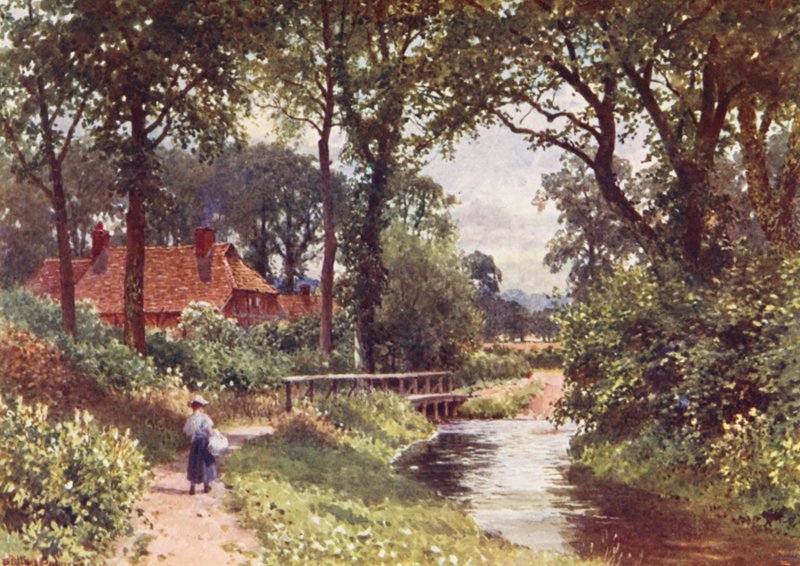 The Bourne, Chobham (druk kolorowy) autorstwa Harold Sutton Palmer