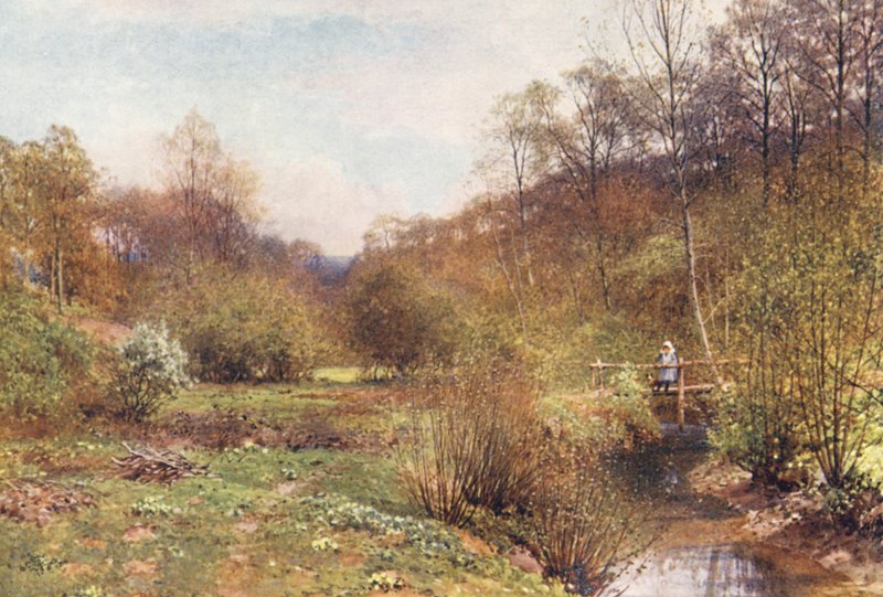 The Budding Year, Ockley (kolorowa litografia) autorstwa Harold Sutton Palmer