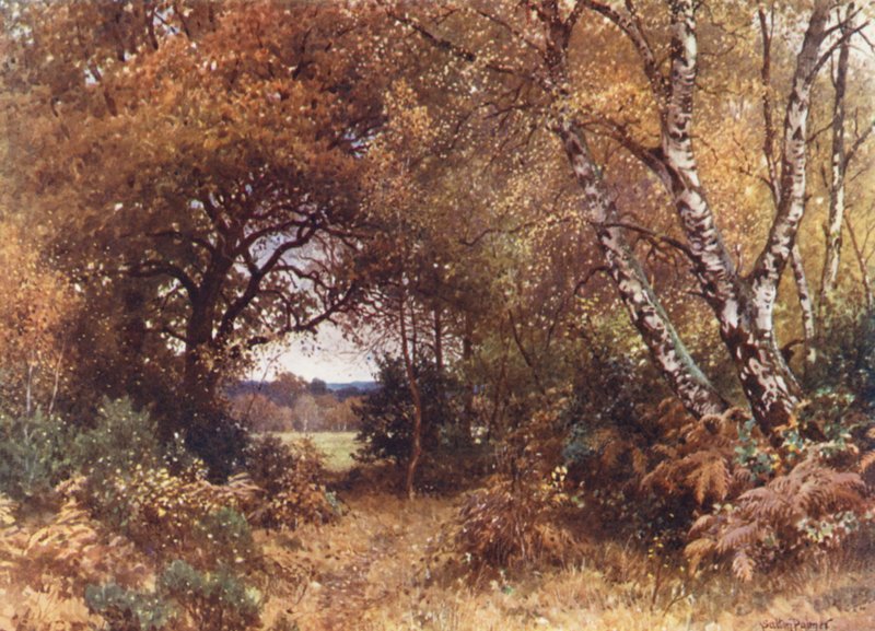 Krawędź lasu, Royal Common (kolorowa litografia) autorstwa Harold Sutton Palmer