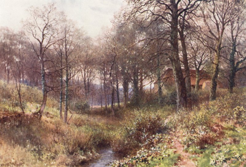 Farma pośrodku lasu, niedaleko Haslemere (kolorowa litografia) autorstwa Harold Sutton Palmer