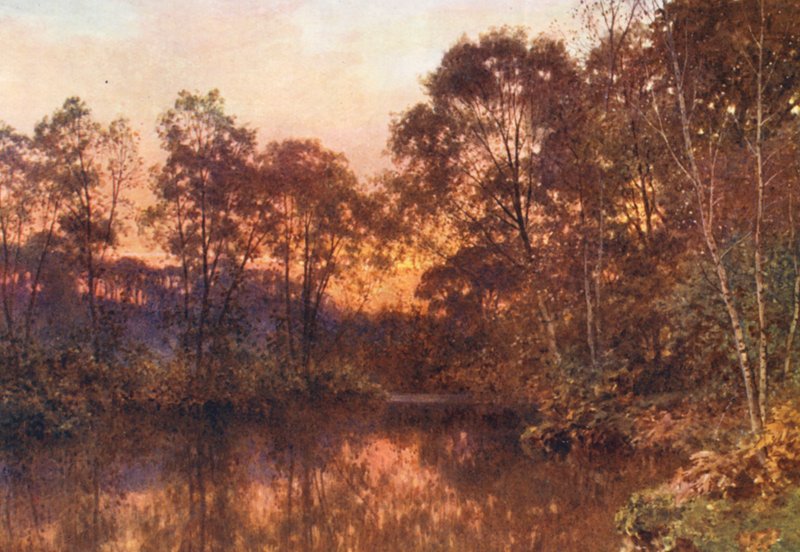 Ostatni blask (kolorowa litografia) autorstwa Harold Sutton Palmer
