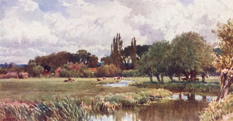 The Meads, Farnham (kolorowa litografia) autorstwa Harold Sutton Palmer