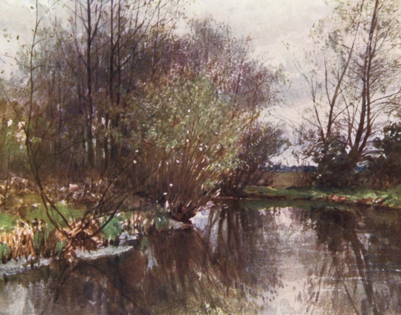 The Mill Stream, Ockham (kolorowa litografia) autorstwa Harold Sutton Palmer