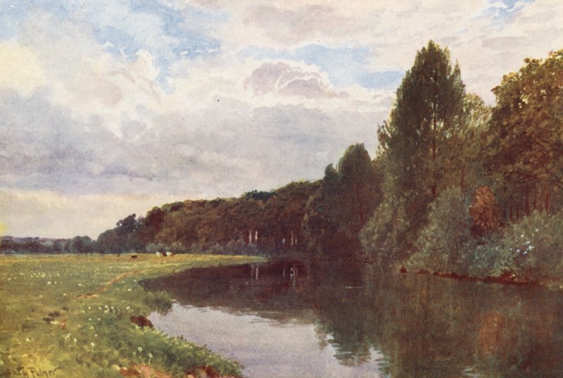 Rzeka Wey w pobliżu Ripley (kolorowa litografia) autorstwa Harold Sutton Palmer