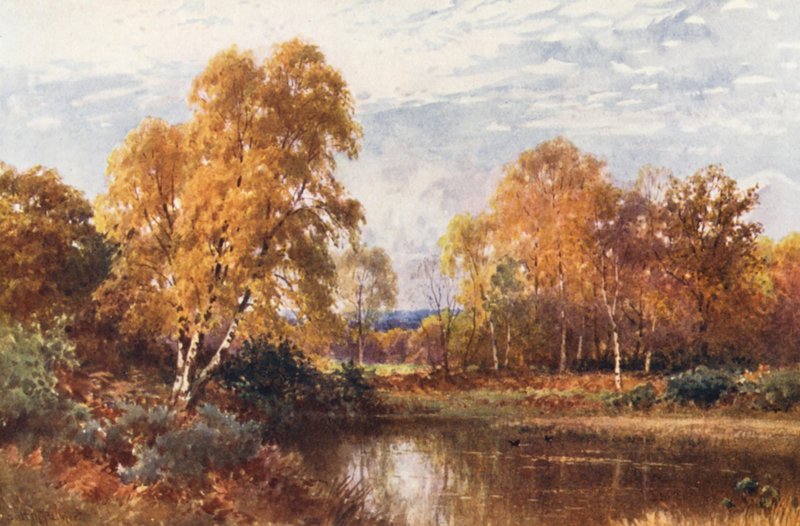 Kończący się rok (kolorowa litografia) autorstwa Harold Sutton Palmer