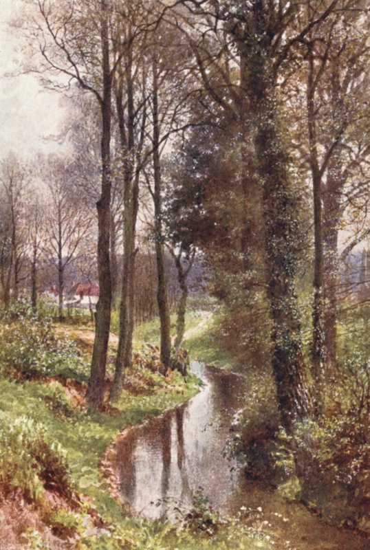 Water Lane, niedaleko East Horsley (druk kolorowy) autorstwa Harold Sutton Palmer