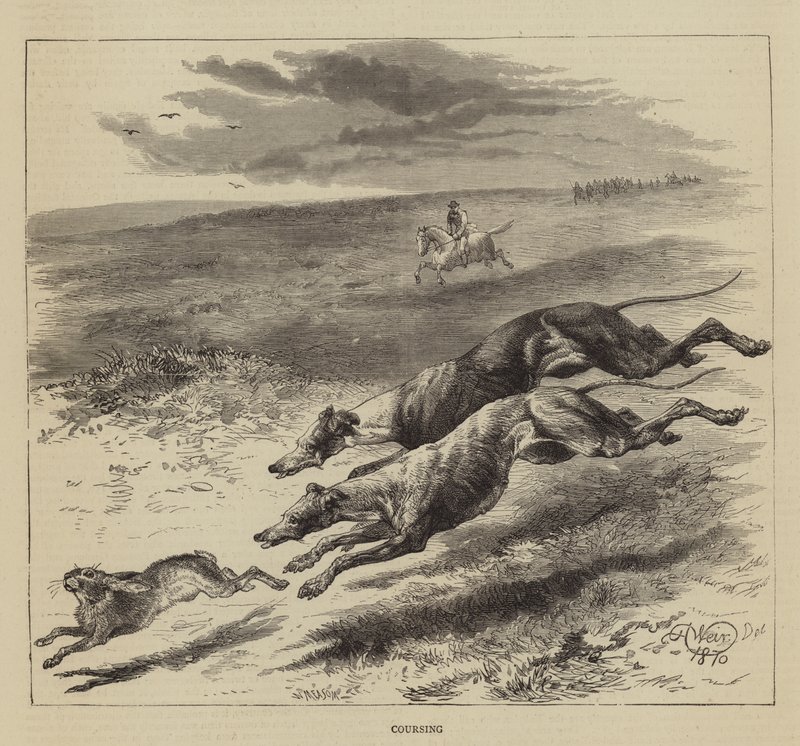 Pościg autorstwa Harrison William Weir