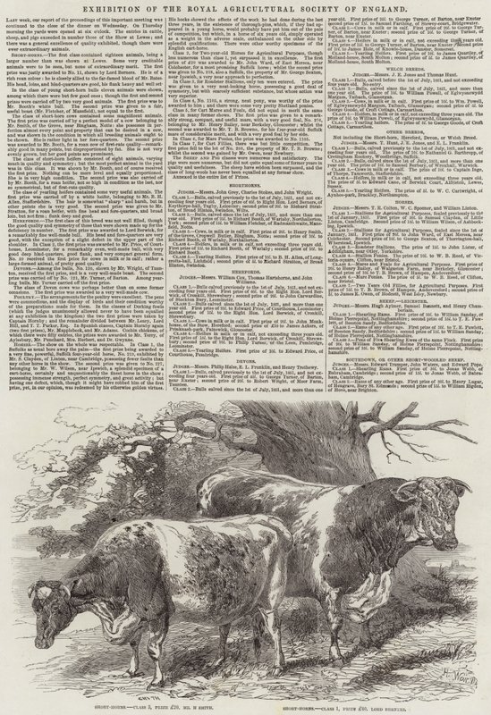 Wystawa Królewskiego Towarzystwa Rolniczego Anglii autorstwa Harrison William Weir