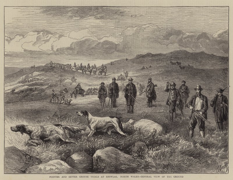 Próby wyżłów i seterów w Rhiwlas w północnej Walii, widok ogólny terenu autorstwa Harrison William Weir