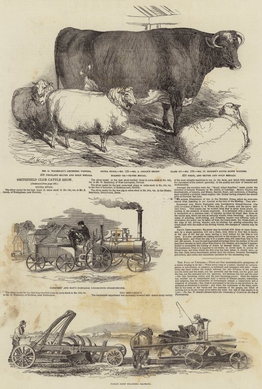 Wystawa bydła Klubu Smithfield autorstwa Harrison William Weir