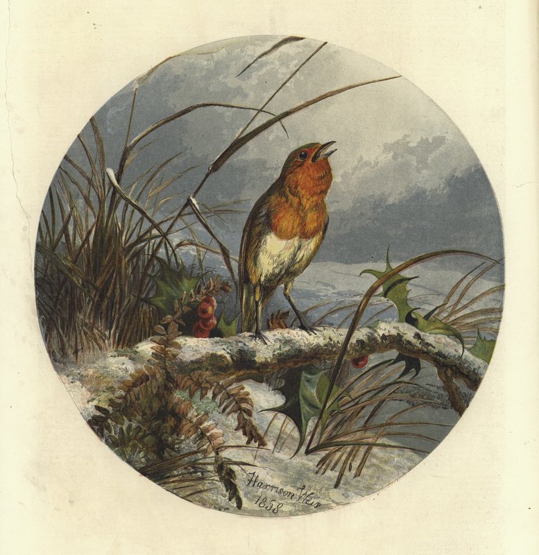Piosenkarka kolęd autorstwa Harrison William Weir