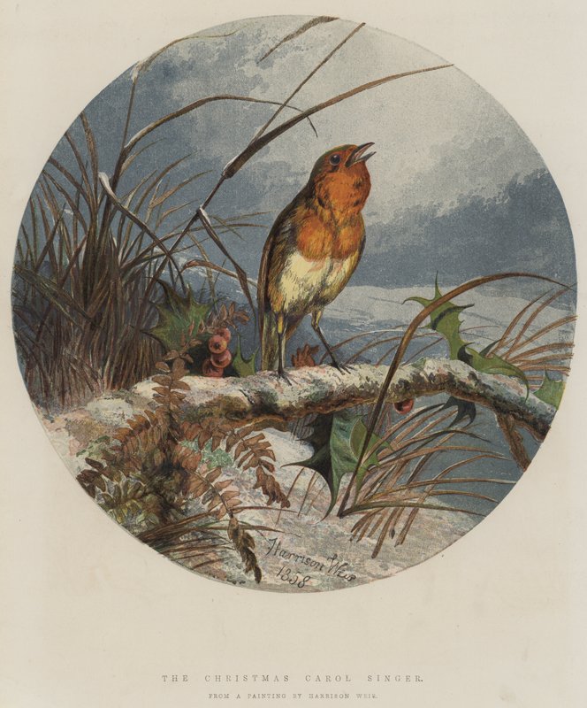 Śpiewaczka kolęd (chromolitho) autorstwa Harrison William Weir