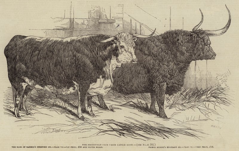 Wystawa Bydła Smithfield Club Prize autorstwa Harrison William Weir
