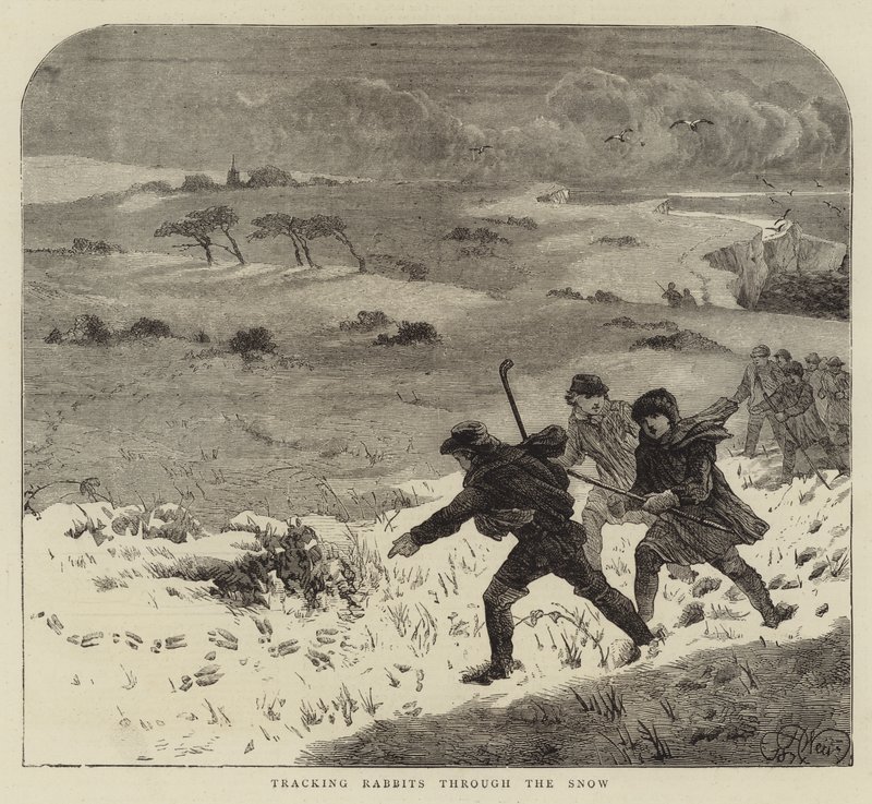 Śledzenie królików przez śnieg autorstwa Harrison William Weir