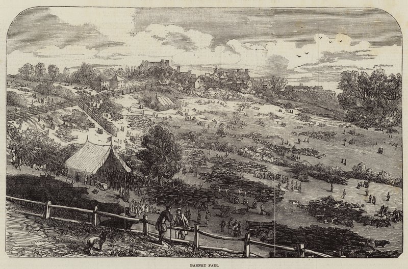 Targi Barnet autorstwa Harrison William Weir