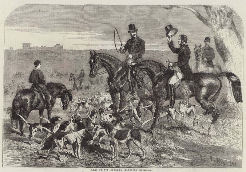 JKW Książę Alberta Harriers autorstwa Harrison William Weir