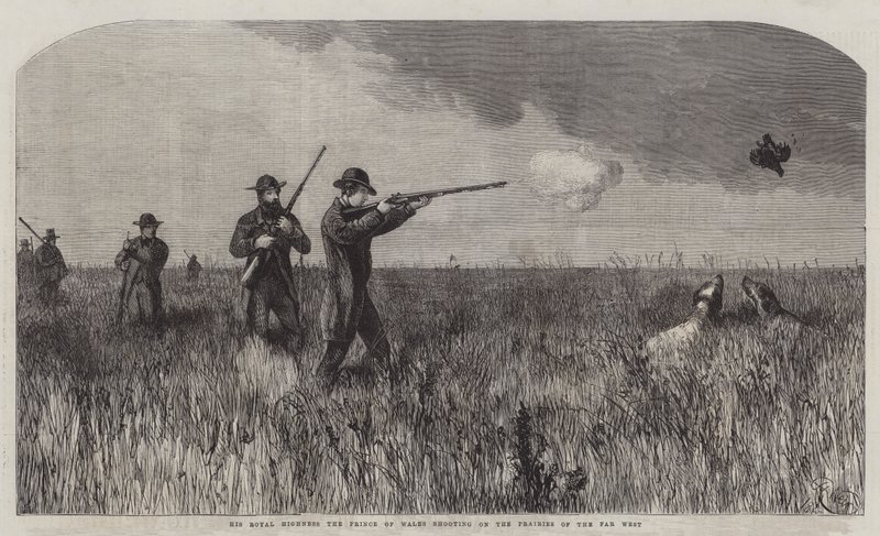 Jego Królewska Wysokość Książę Walii strzelający na prerii Dalekiego Zachodu autorstwa Harrison William Weir