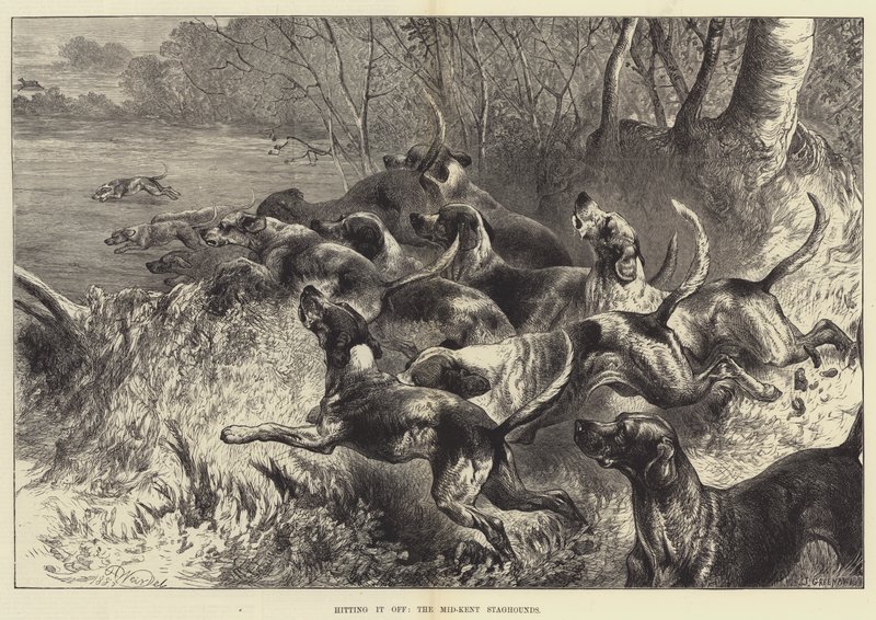 Uderzając, Mid-Kent Staghounds autorstwa Harrison William Weir