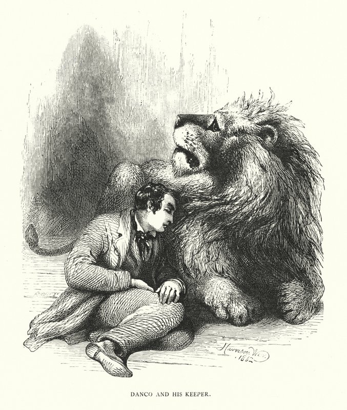 Lew i jego opiekun (rycina) autorstwa Harrison William Weir