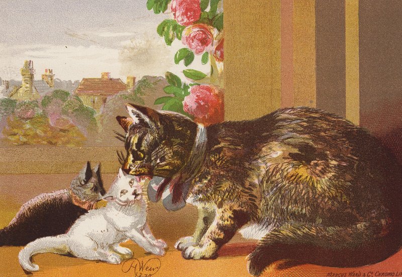 Puss i jej kocięta (kolorowa litografia) autorstwa Harrison William Weir