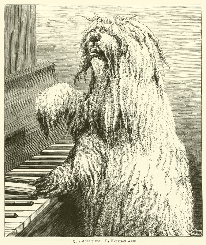 Quiz przy pianinie autorstwa Harrison William Weir