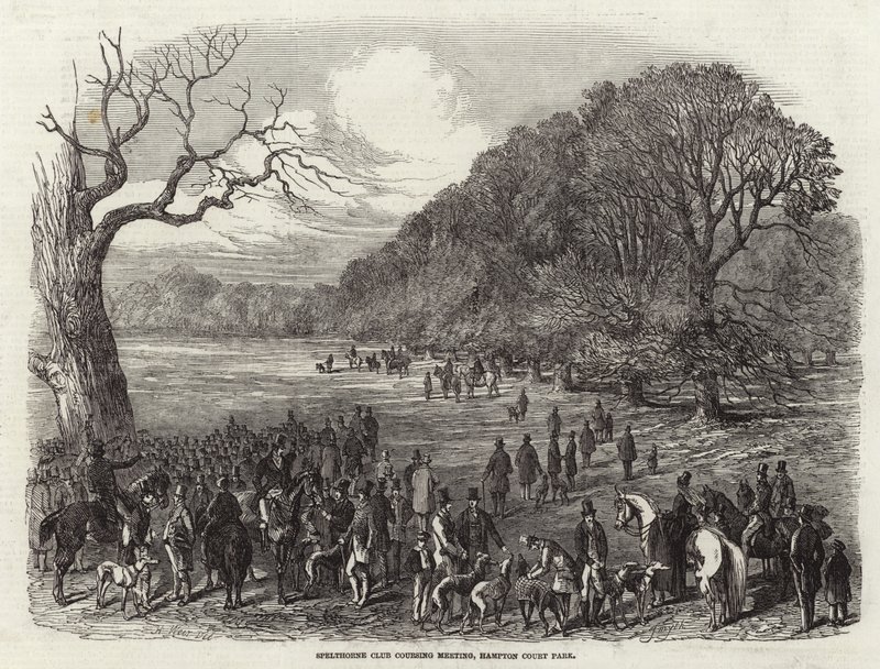 Spotkanie coursingowe klubu Spelthorne autorstwa Harrison William Weir