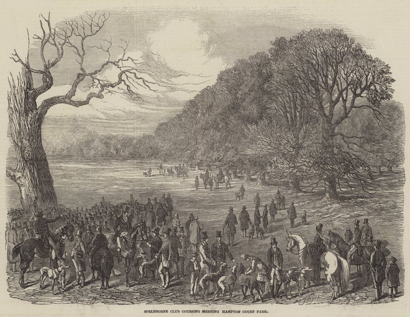Spelthorne Club Coursing Meeting, Hampton Court Park autorstwa Harrison William Weir