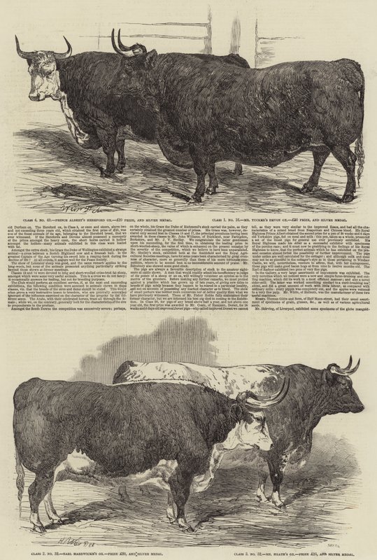 Doroczna Wystawa Klubu Smithfield autorstwa Harrison William Weir