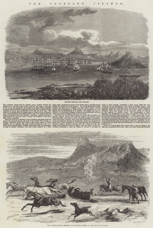 Falklandy autorstwa Harrison William Weir