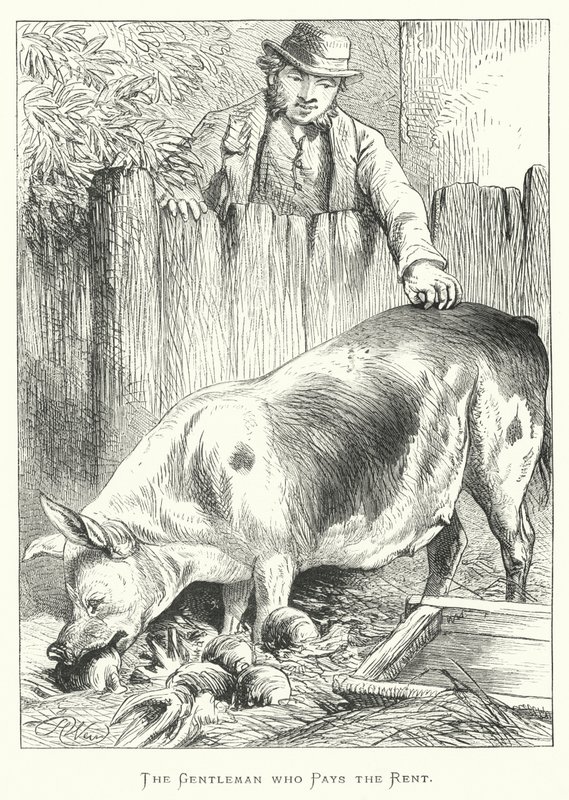 Dżentelmen, który płaci czynsz autorstwa Harrison William Weir