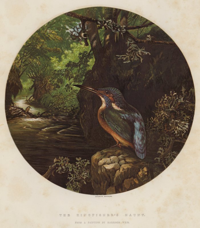 Nawiedzenie zimorodka autorstwa Harrison William Weir