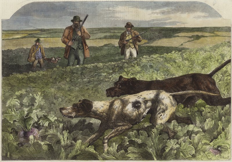 Pierwszy września autorstwa Harrison William Weir