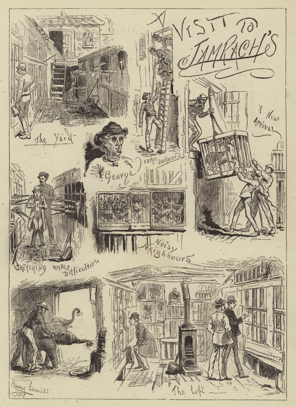 Wizyta u Jamracha autorstwa Harry Furniss
