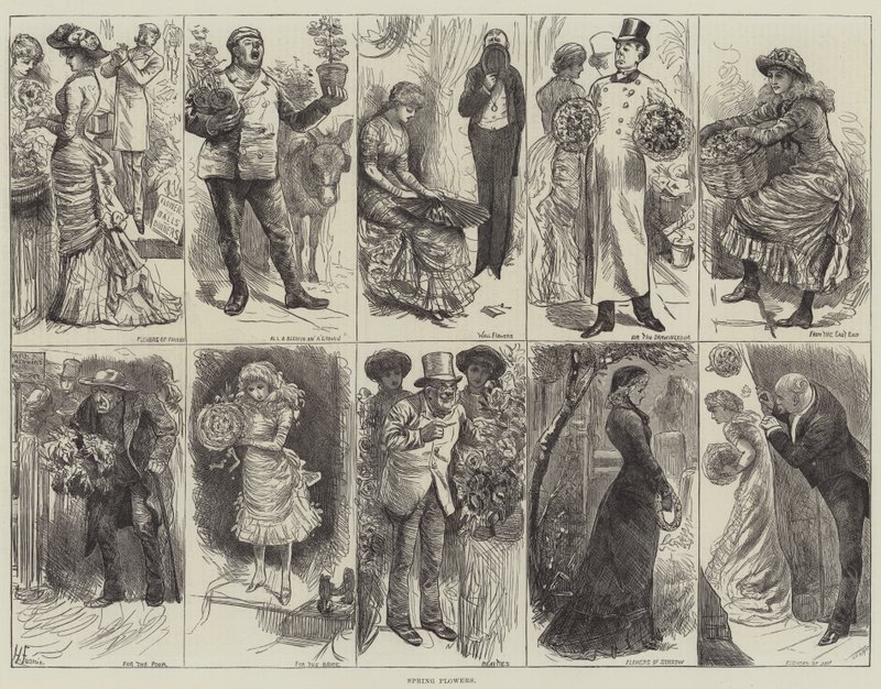 Kwiaty wiosenne autorstwa Harry Furniss