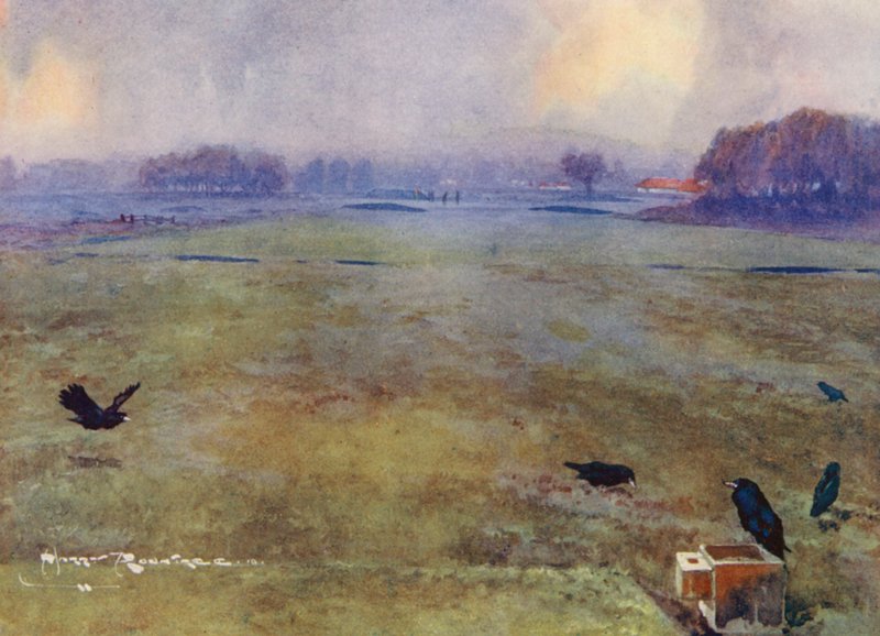 Pola golfowe: Mid-Surrey, dziesiąty dołek (kolorowa litografia) autorstwa Harry (1878 1950) Rountree
