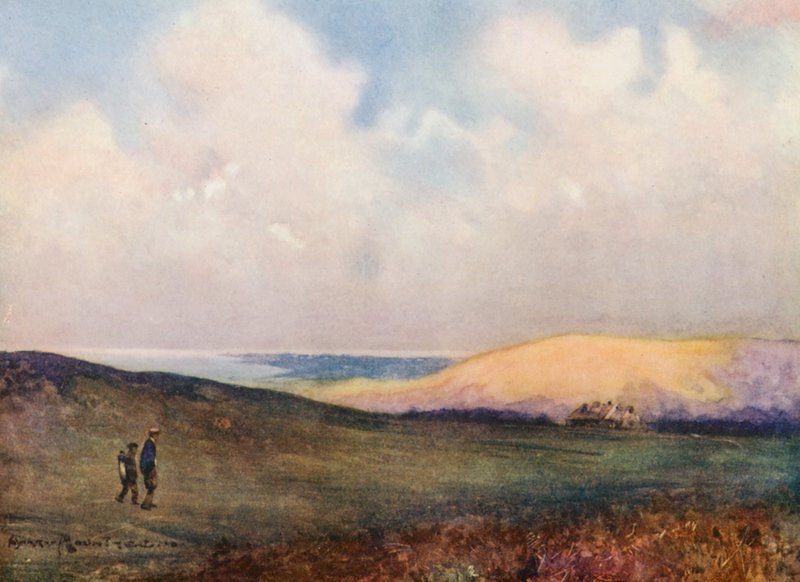 Pola golfowe: Południowy dół, patrząc na ostatni green (kolorowa litografia) autorstwa Harry (1878 1950) Rountree