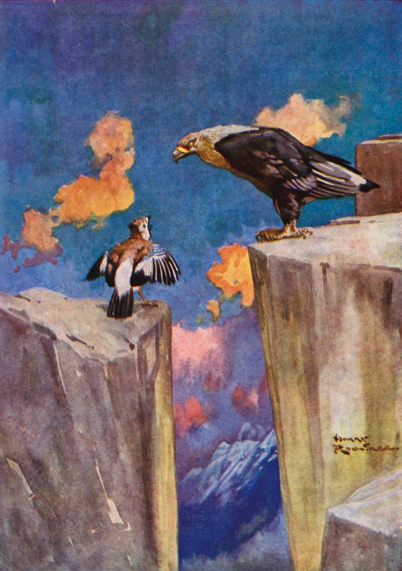 Sójka i Słowik (kolor lito) autorstwa Harry Rountree