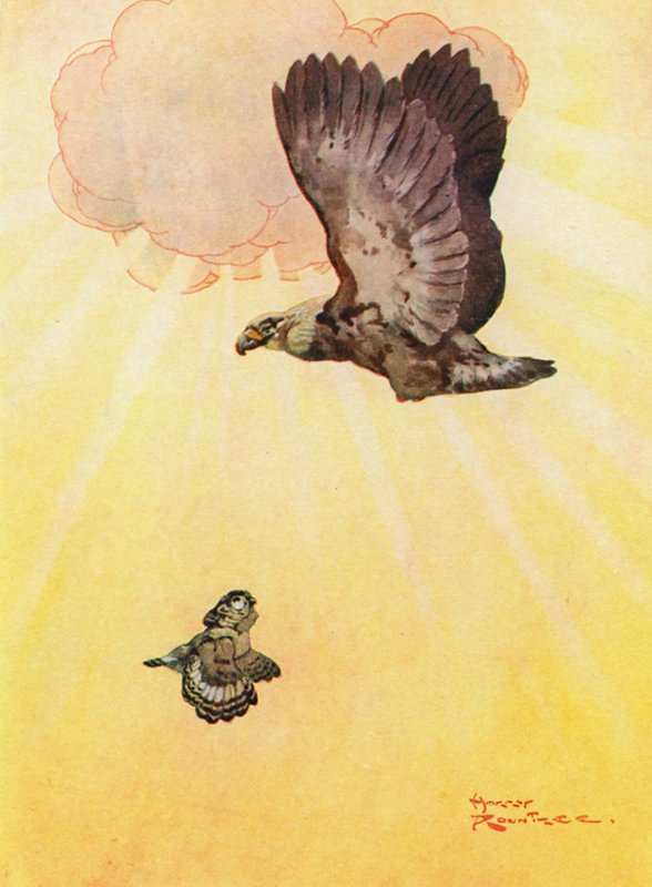 Sowa i córka orła (kolor lito) autorstwa Harry Rountree