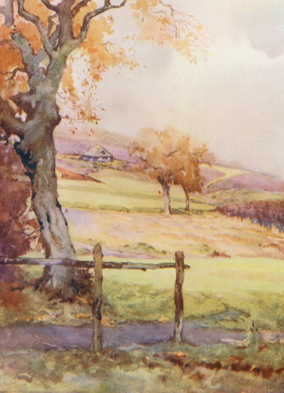 Pola golfowe: Broadstone, czwarty dołek (kolorowa litografia) autorstwa Harry (1878 1950) Rountree