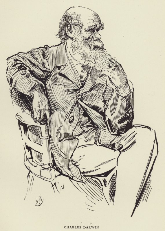Karol Darwin autorstwa Harry Furniss