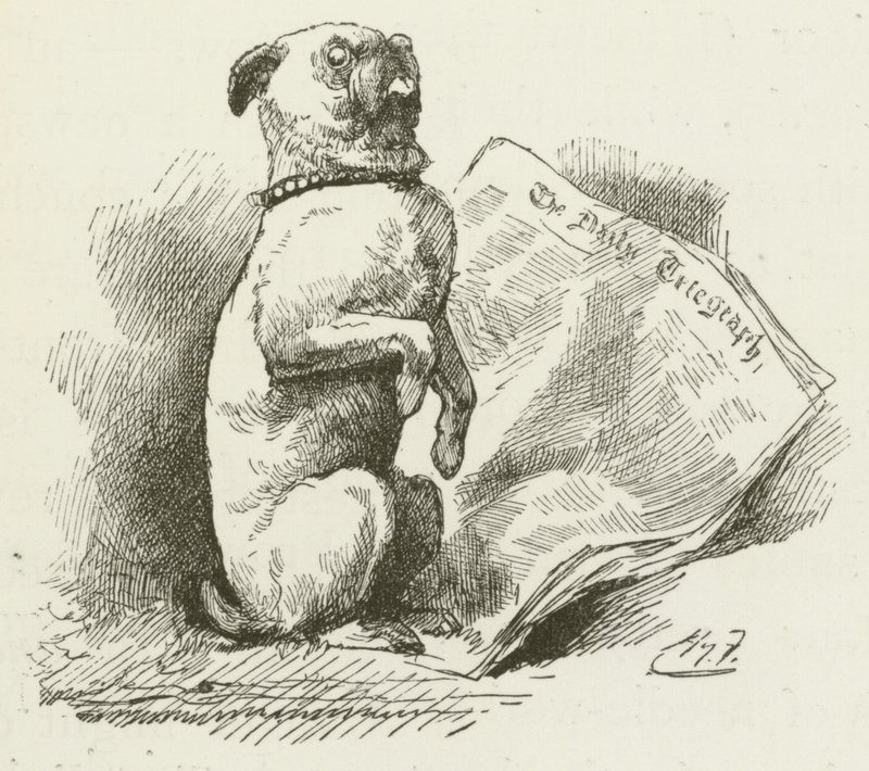 Ilustracja do Sylvie i Bruno autorstwa Lewisa Carrolla autorstwa Harry Furniss