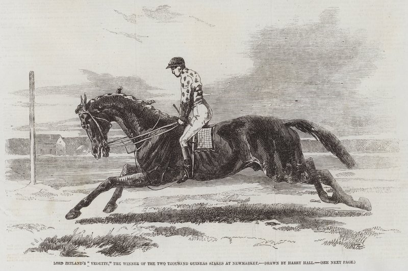 Vedette Lorda Zetlanda, zwycięzca dwóch tysięcy gwinei na Newmarket autorstwa Harry Hall