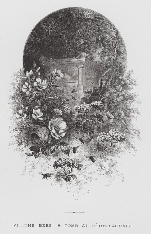 Owad: pszczoły, grób w Pere-Lachaise (rycina) autorstwa Hector Giacomelli