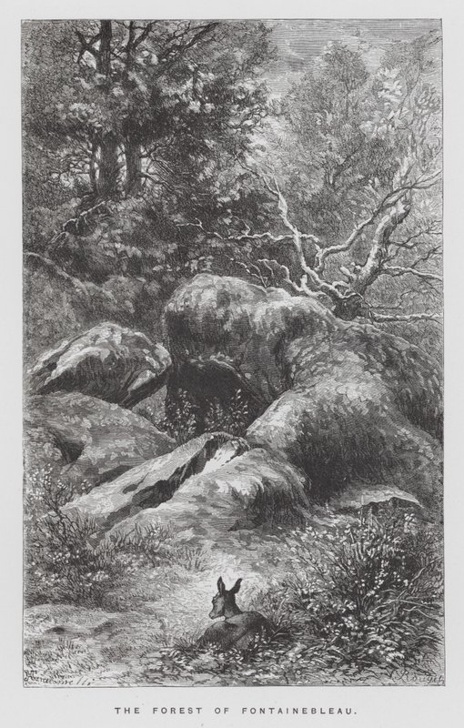 Owad: Las Fontainebleau (rycina) autorstwa Hector Giacomelli