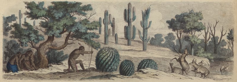 Kolorado (kolorowy grawerunek) autorstwa Heinrich Leutemann