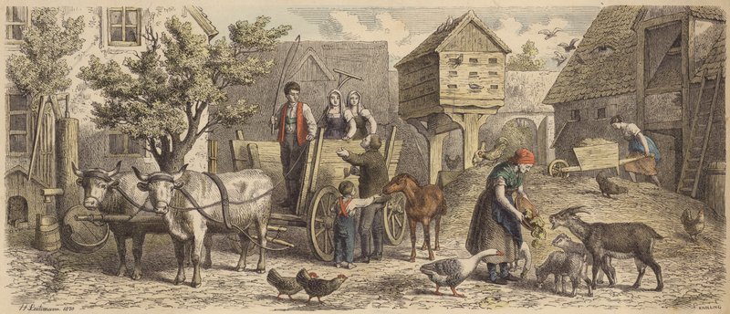 Gospodarstwo w Saksonii (kolorowy grawerunek) autorstwa Heinrich Leutemann
