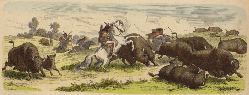 Rdzenni Amerykanie na koniach polujących na bawoły (kolorowy grawerunek) autorstwa Heinrich Leutemann