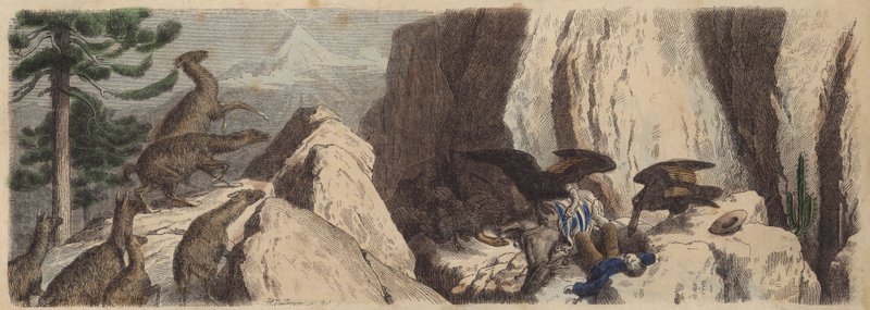 Andy chilijskie (kolorowy grawerunek) autorstwa Heinrich Leutemann