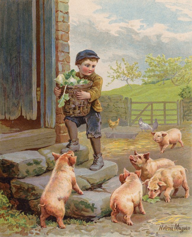 Głodne świnie obserwujące chłopca niosącego kosz rzepy na farmie (chromolitho) autorstwa Helena J. Maguire